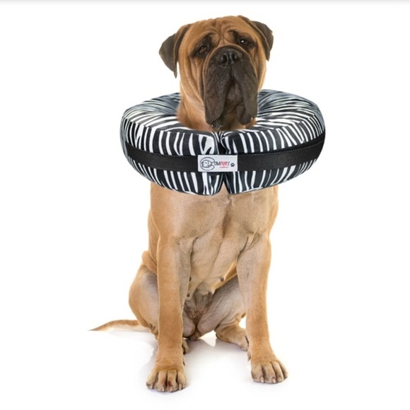 Comfurt Pet Recovery Collar in Zebra XL - Picture 1 of 15